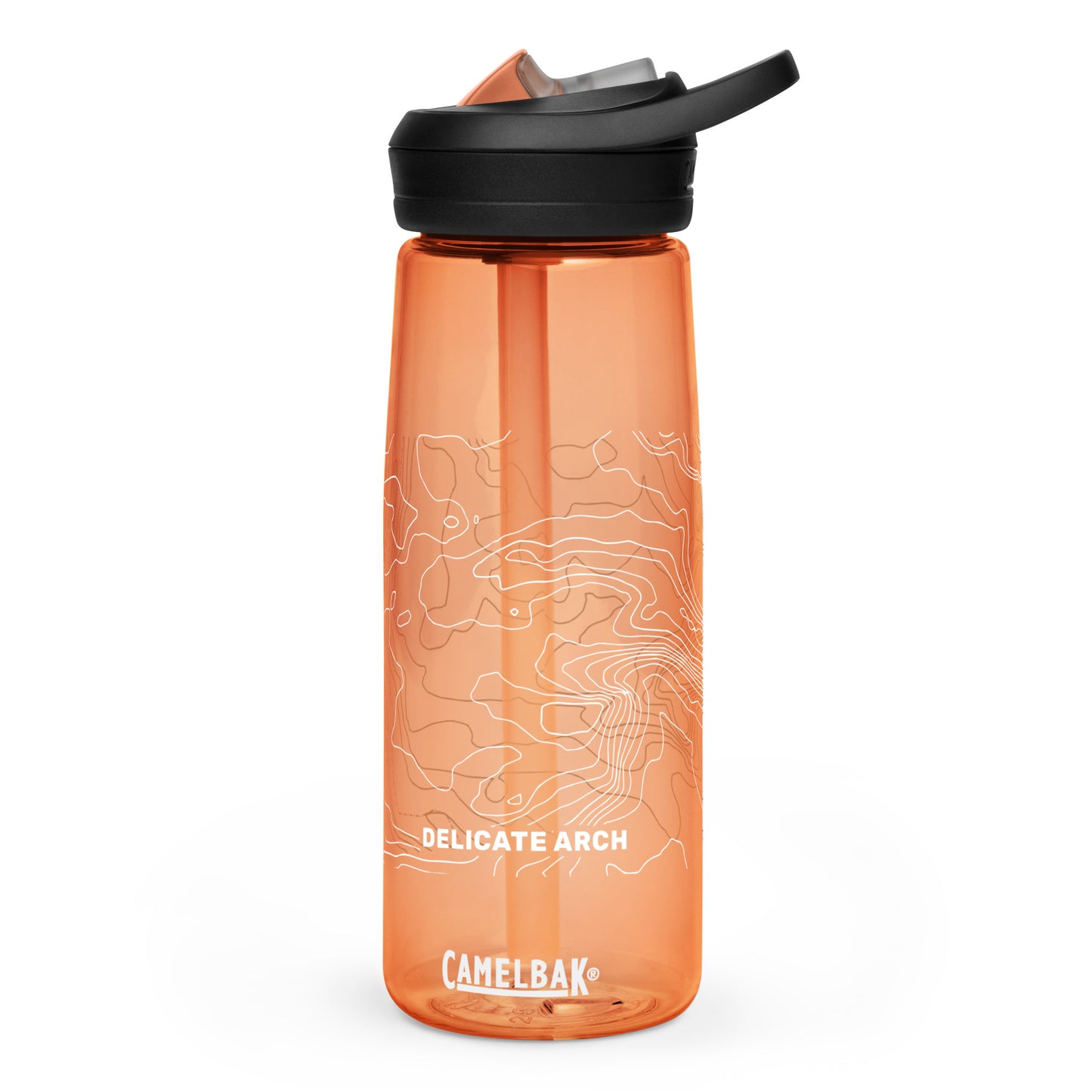 Delicate Arch, Arches National Park, Utah – CamelBak Water Bottle