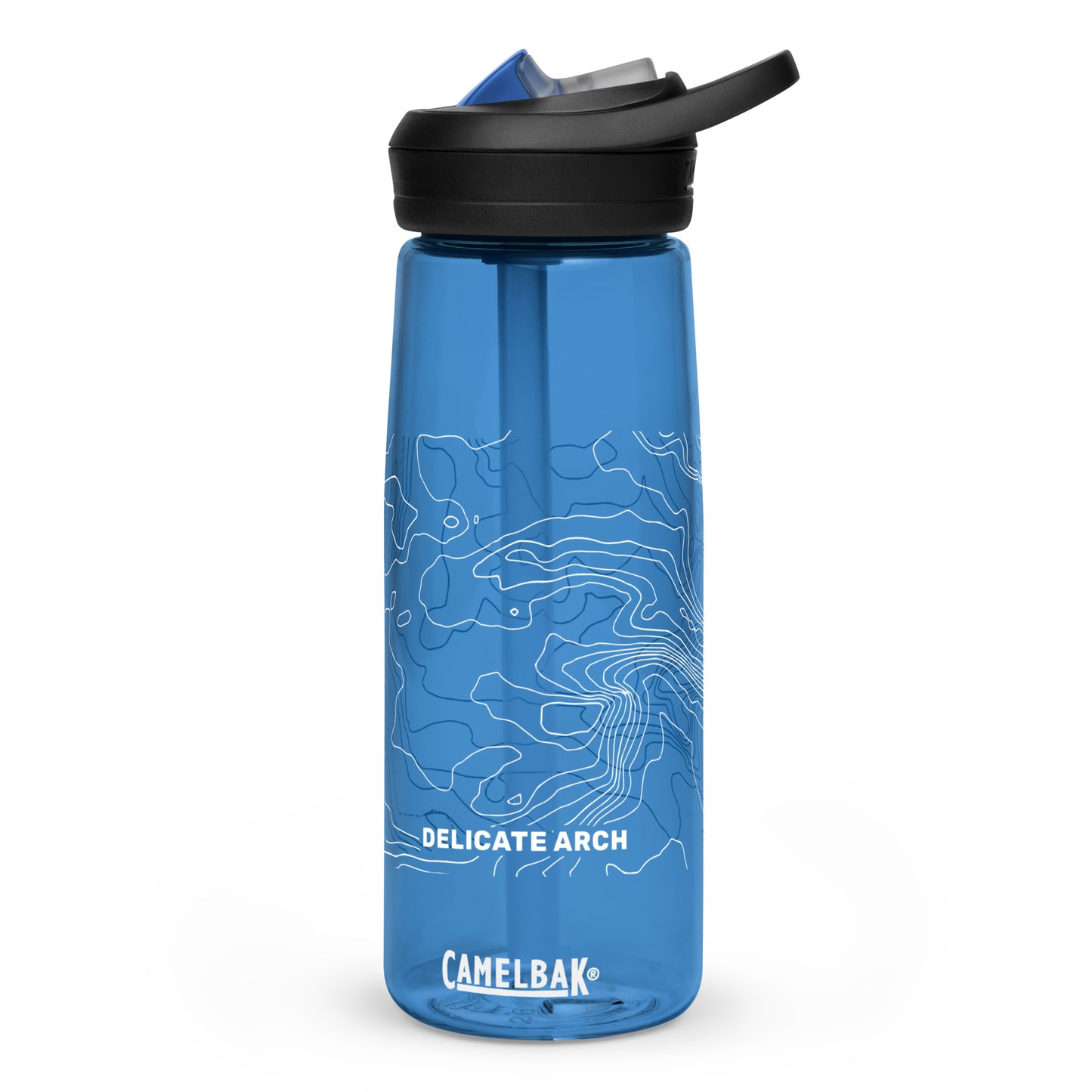 Delicate Arch, Arches National Park, Utah – CamelBak Water Bottle